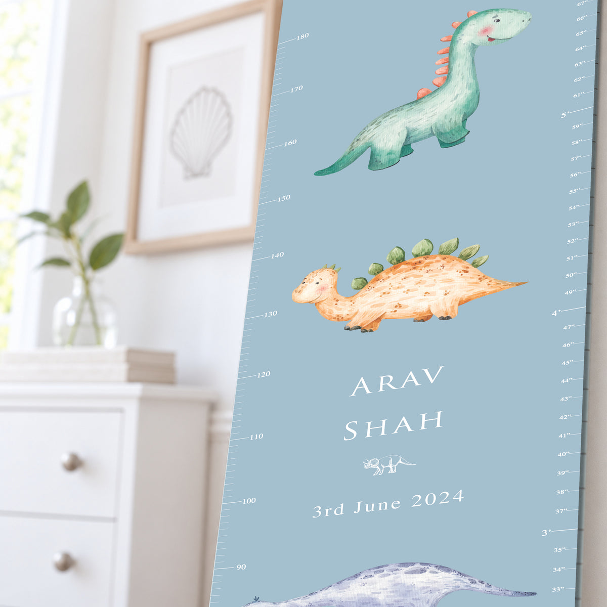Little Rex Height Chart