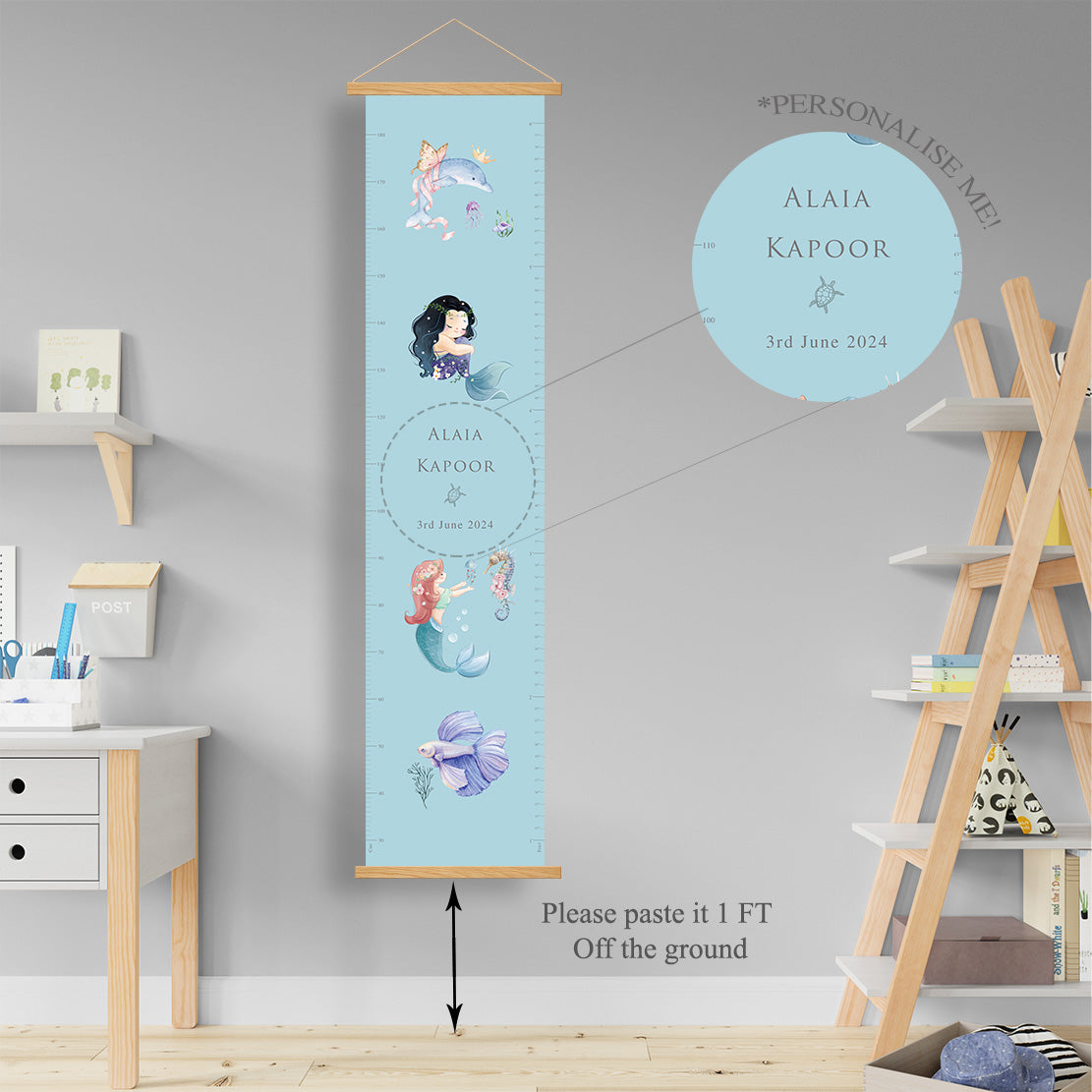 Ocean Belle Height Chart