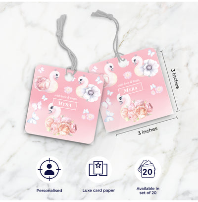 Swan Lake Garden Gifting Value Pack