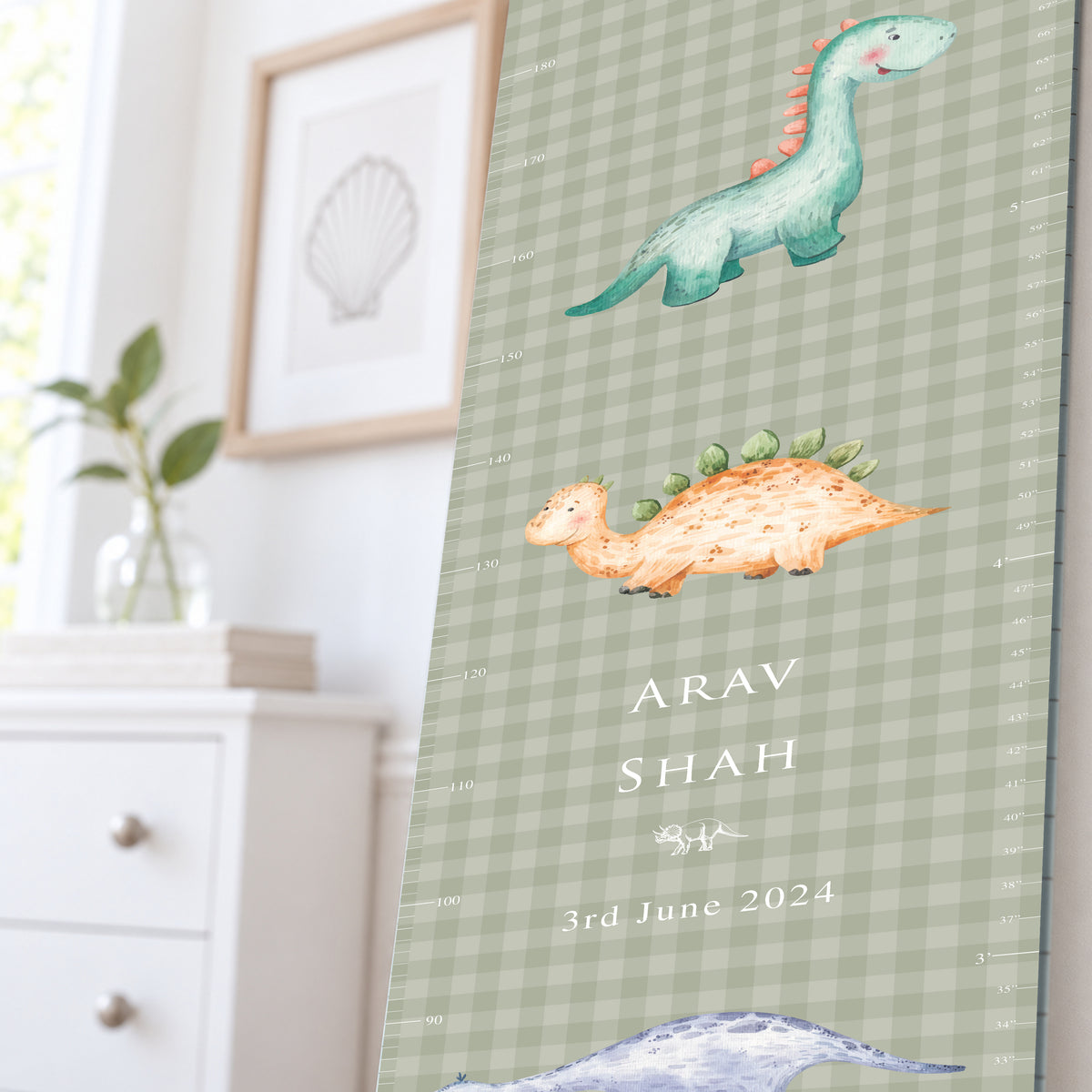 Little Rex Height Chart