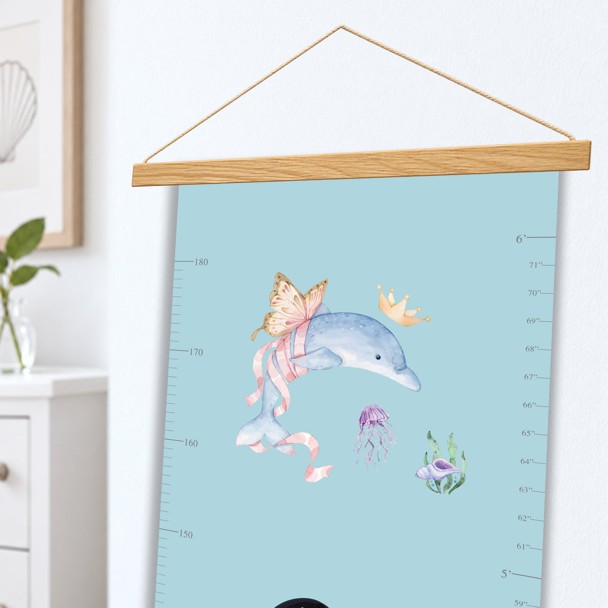 Ocean Belle Height Chart