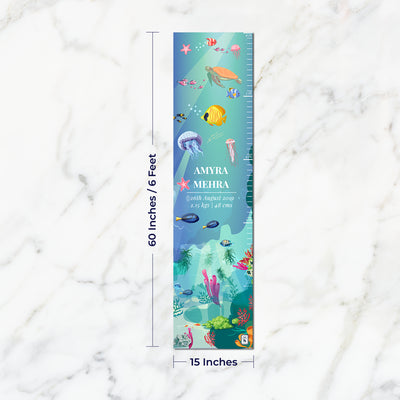 Ocean Bed Height Chart